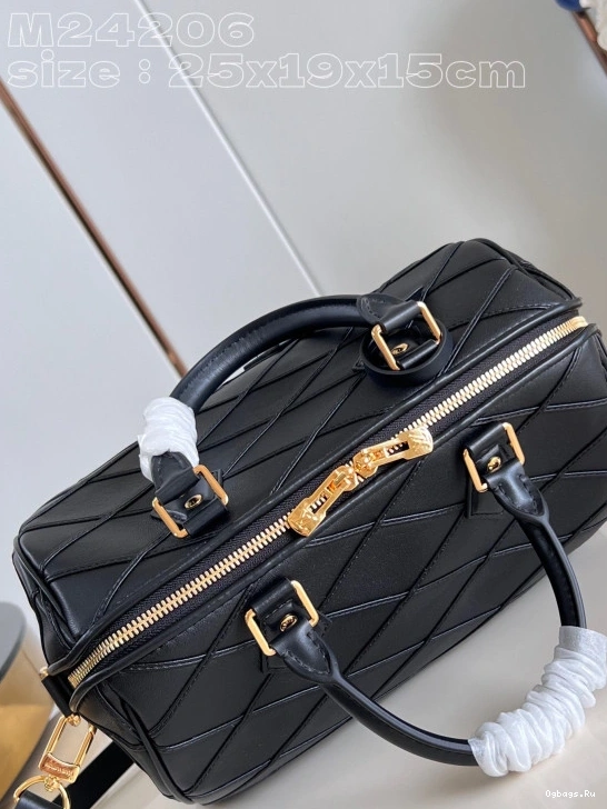 25 Vuitton SPEEDY Louis 0324